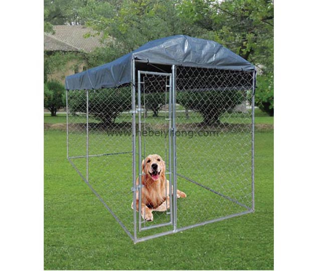 Chainlink Fence Kennel