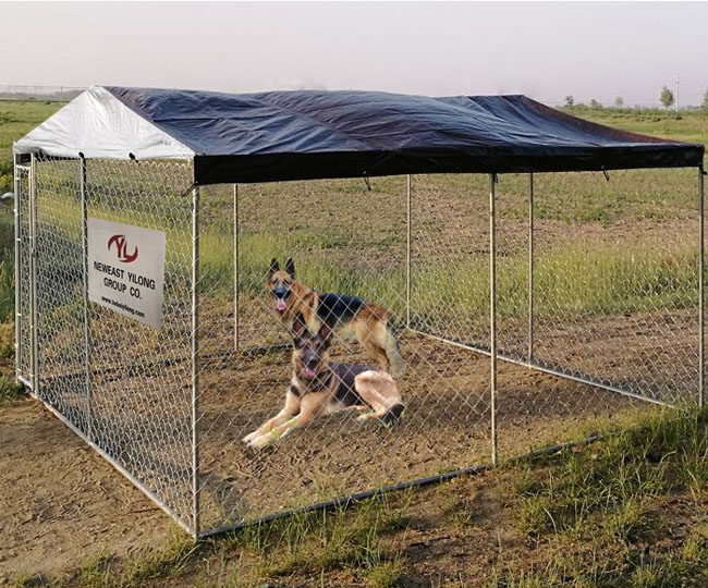 Chain Link Fence Dog Kennel