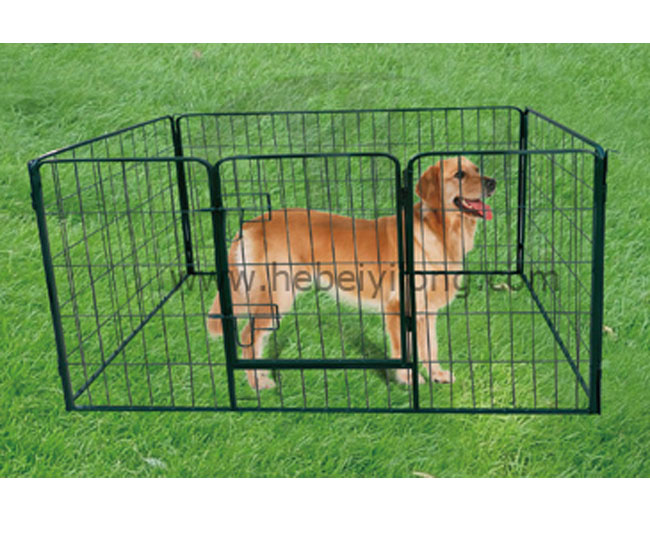 Panel Fence Dog Kennel